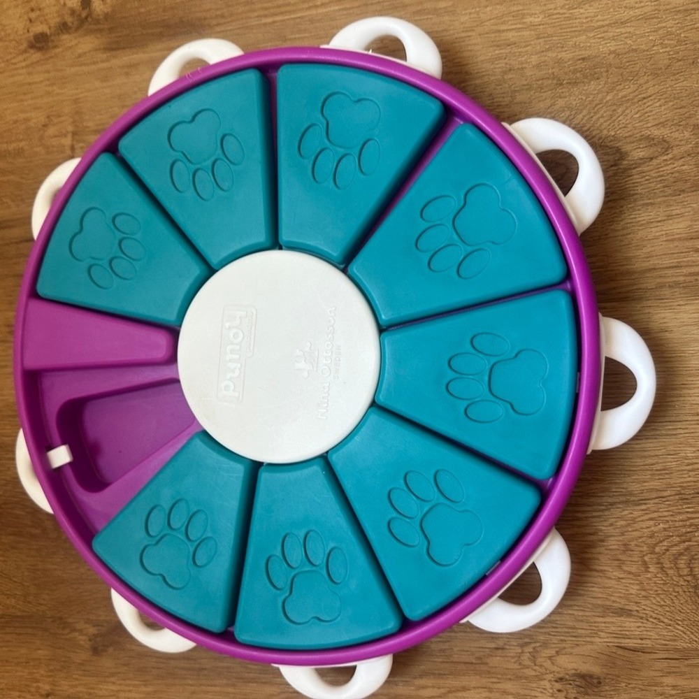 Outward Hound Nina Ottosson Dog Twister Puzzle Toy Level 3 Purple Teal